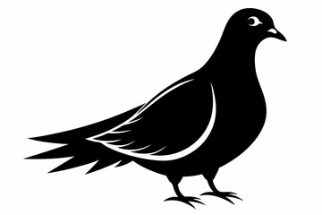 Mourning dove silhouette black vector