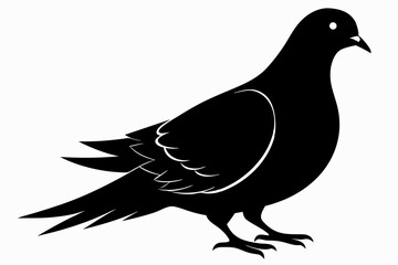Mourning dove silhouette black vector