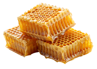 Honeycombs isolated on white background PNG