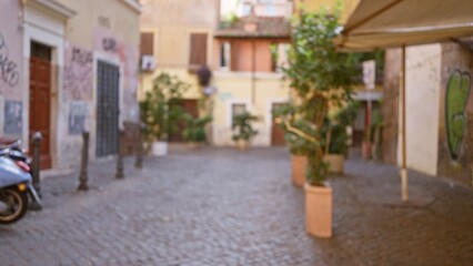 Blurred image of a charming cobblestone street in rome, italy with historic buildings, vibrant graffiti, and potted plants creating a serene outdoor atmosphere.