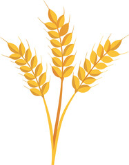 Farm wheat ears icon vector illustration