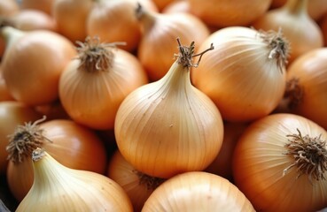 Fototapeta premium Close-up photo fresh yellow onions. Ripe whole vegetables on brown background. Healthy ingredient for cooking. Organic farm product. Top view food photography.