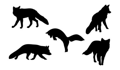 Set of silhouettes of a fox in different poses.