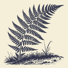 Naklejka premium fern leaf isolated on black vector