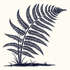 fern leaf isolated on black vector