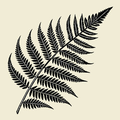 fern leaf isolated on black vector