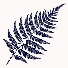 Naklejka premium fern leaf isolated on black vector
