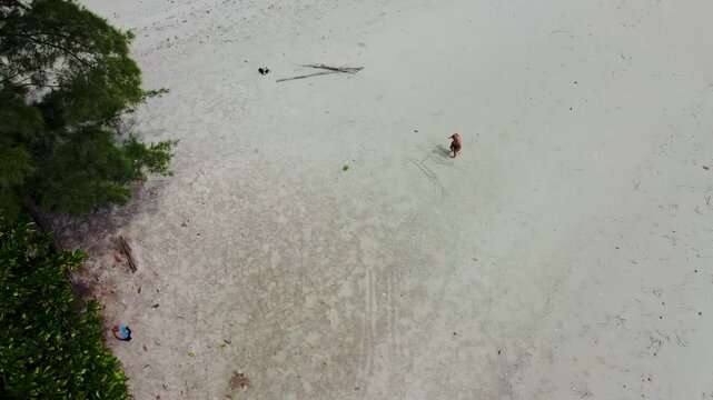 Iles d&eacute;serte - help &eacute;crit sur le sable