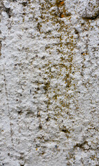 Weathered concrete wall with moss and rough texture
