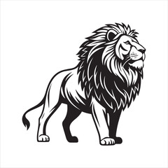  Lion vector.