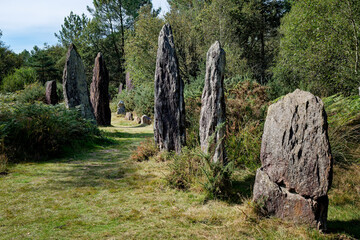 The menhirs of Monteneuf (Brocéliande archaeosite), Morbihan, Brittany, France.