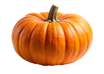 Pumpkin  isolated on white background PNG