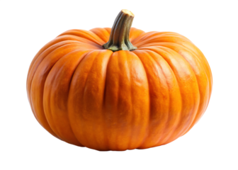 Pumpkin  isolated on white background PNG