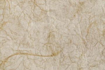 old paper texture with threads, fibers