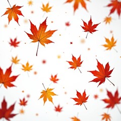 Autumn maple leaves fall against white background. Red orange yellow colors. Mid-air levitation effect. Isolated cut-out design element, season, october september.