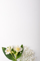 Fototapeta premium Spring mock up with flowers on white background. Minimal concept.