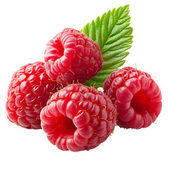 Fresh Raspberries with Green Leaf Closeup