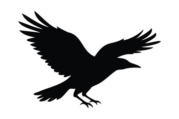 Obraz premium Crow silhouette black bird isolated vector illustration