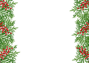 Merry Christmas greeting card frame template white space branches of thuja ilex holly berries. Template design, happy new year.