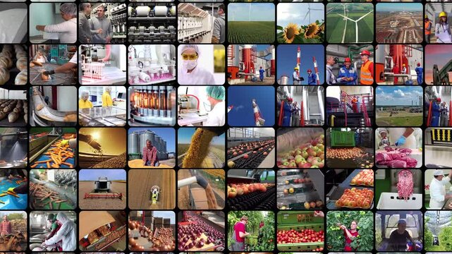 Manufacturing Industry. Business Industries. Workers Of Different Professions At Work. Workforce Productivity. Oil Industry. Agriculture. Energy Industry. Food Industry. Pharmaceutical Industry.