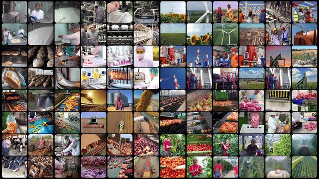 Industrial Manufacturing. Business Industries. Workers Of Different Professions At Work. Workforce Productivity. Oil Industry. Agriculture. Energy Industry. Food Industry. Pharmaceutical Industry.