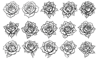 High-Quality Rose Line Art for Adult Coloring, Perfect for Stress Relief and Relaxation Activities, Ideal for Printable Art Therapy or Pages in Adult Coloring Collections.