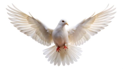  white dove flying  isolated on white background, png, ai generated.