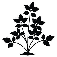 Vector floral branch silhouette with nature's leaf pattern