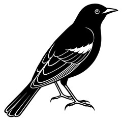Minimal Red-Winged Blackbird Vector Illustration on White Background