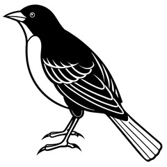 Minimal Red-Winged Blackbird Vector Illustration on White Background