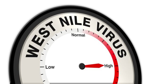West Nile Virus text with a barometer or tachometer-style gauge, illustrating varying levels of severity and risk of infection, from mild symptoms to severe cases like encephalitis