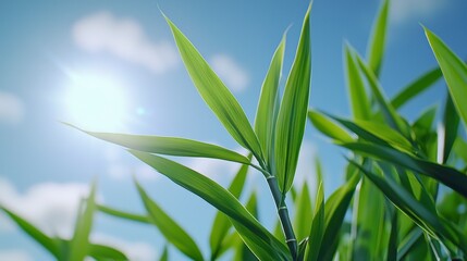 Fototapeta premium Fresh Green Leaves Against Bright Sky in Vibrant Nature Scene