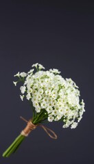 Delicate white gypsophila bouquet tied with twine, attached to a natural wooden dowel, elegant, spring, summer