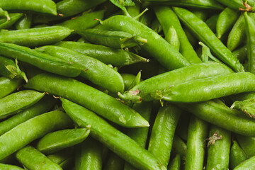 Fresh pea pods as background. Top view.