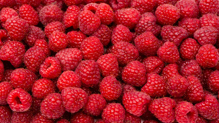 Tasty fresh raspberry as a background.