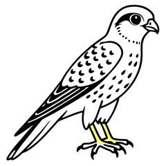 Minimal American Kestrel Vector Illustration on White Background
