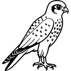 Minimal American Kestrel Vector Illustration on White Background