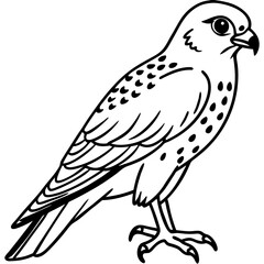 Minimal American Kestrel Vector Illustration on White Background