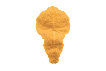 Watercolor brush strokes on transparent background