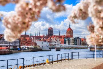 Spring flowers blooming on the trees over the Motlawa river in Gdansk. Poland © Patryk Kosmider