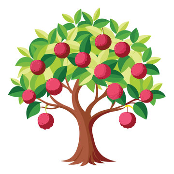 Big lychee tree with ripe red lychees on white background &mdash; lush green tropical fruit tree vector illustration with detailed leaves and hanging lychee clusters for nature or garden themes