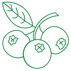 Blueberry Fruit Line Art Vector for Kids Hand Drawing and Learning – Simple Tropical Fruit Outline Illustration