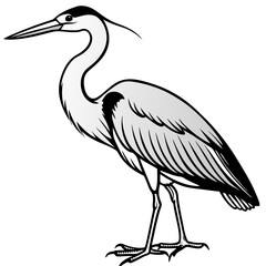 Minimal Great Blue Heron Vector Illustration on White Background
