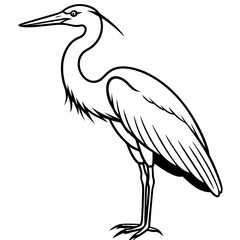 Fototapeta premium Minimal Great Blue Heron Vector Illustration on White Background