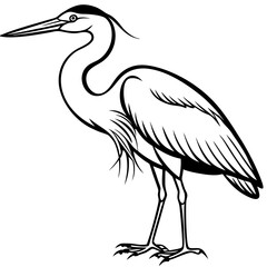 Minimal Great Blue Heron Vector Illustration on White Background