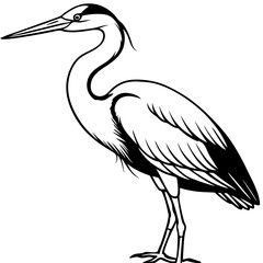 Minimal Great Blue Heron Vector Illustration on White Background