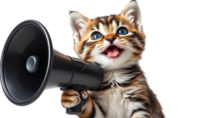Photo of small kitten holding a black megaphone to its mouth isolated on transparent background.png