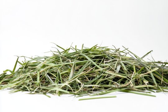 A pile of freshly cut green grass, isolated on a white background.