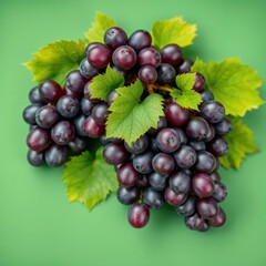 Fototapeta premium Luscious purple grapes with vibrant green leaves, arranged on a green background, foliage, nature