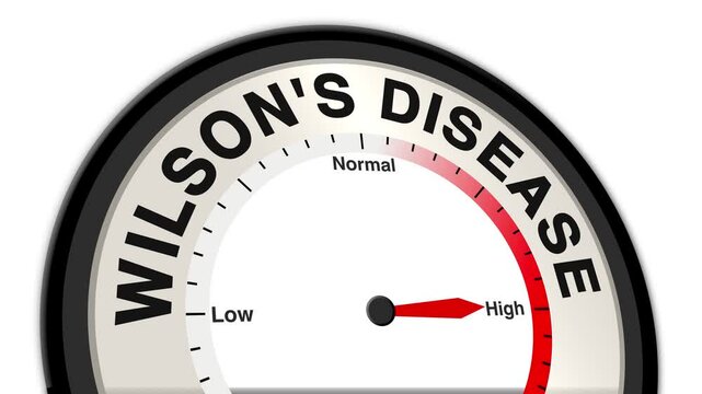 Wilson's disease text with a barometer or tachometer-style gauge, illustrating varying levels of copper accumulation and damage to organs, such as the liver and brain